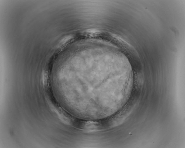 X0000111510222200908111316