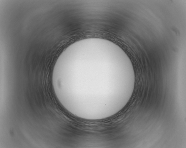 X0000111510223200908111316