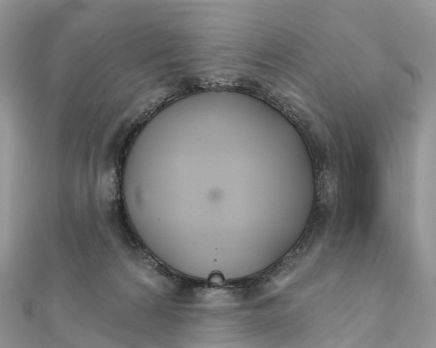 X0000111510224200908111316