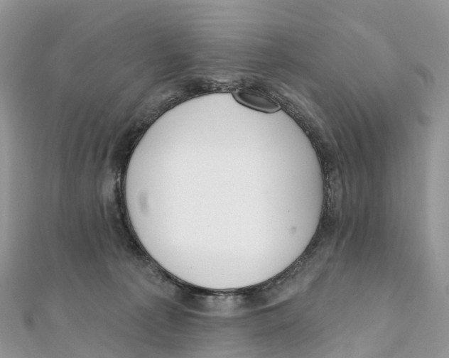 X0000111510225200908111316