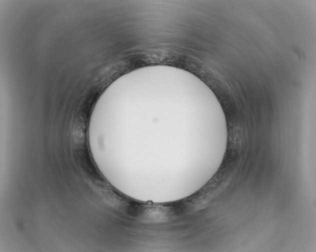 X0000111510226200908111316