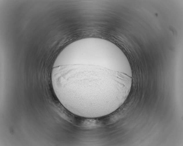 X0000111510227200908111316