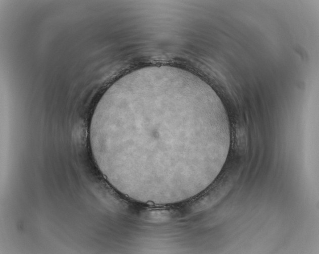 X0000111510228200908111316