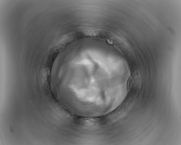 X0000111510229200908111316