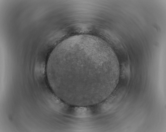 X0000111510230200908111316
