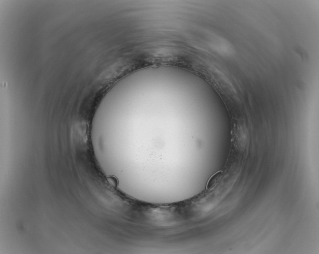 X0000111510232200908111316