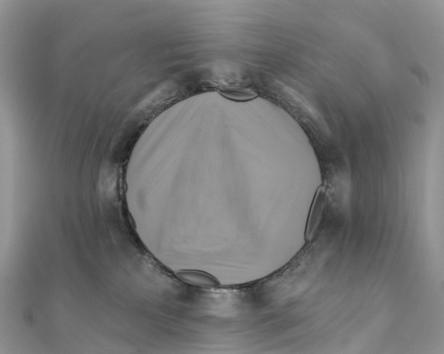 X0000111510233200908111316
