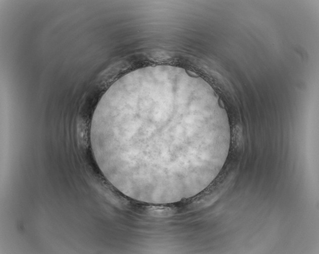 X0000111510234200908111316