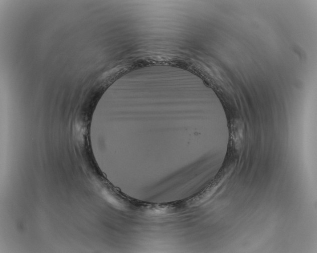 X0000111510235200908111316