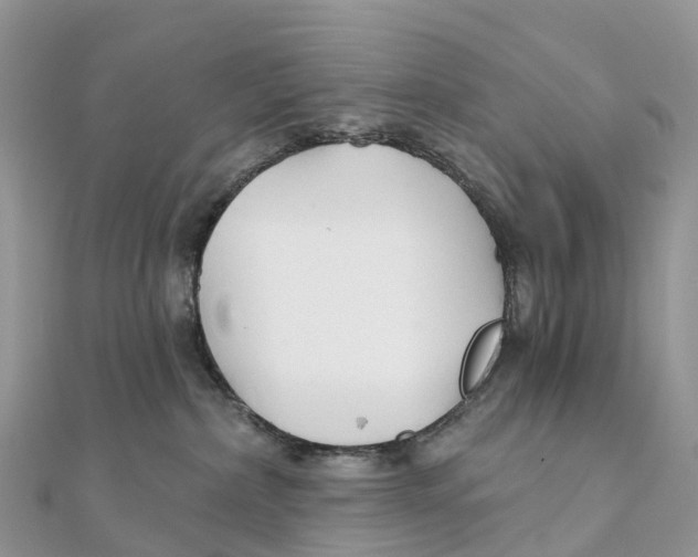 X0000111510236200908111316