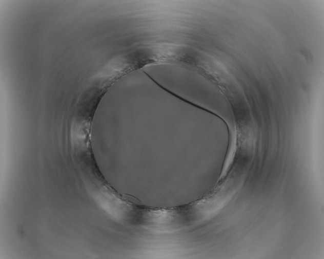 X0000111510237200908111316