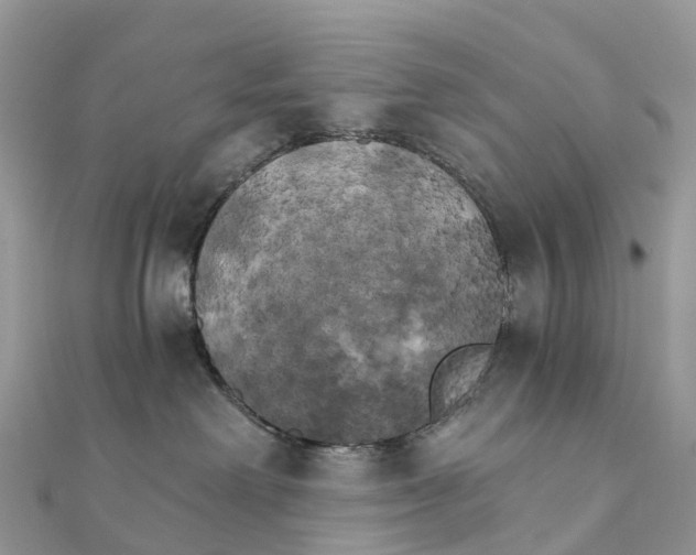 X0000111510238200908111316