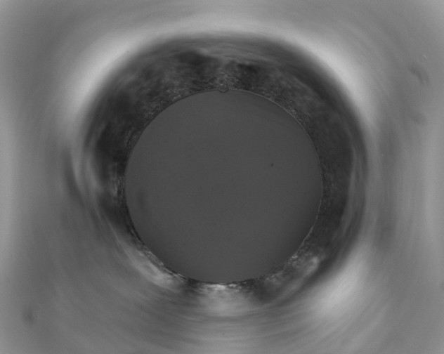 X0000111510239200908111316