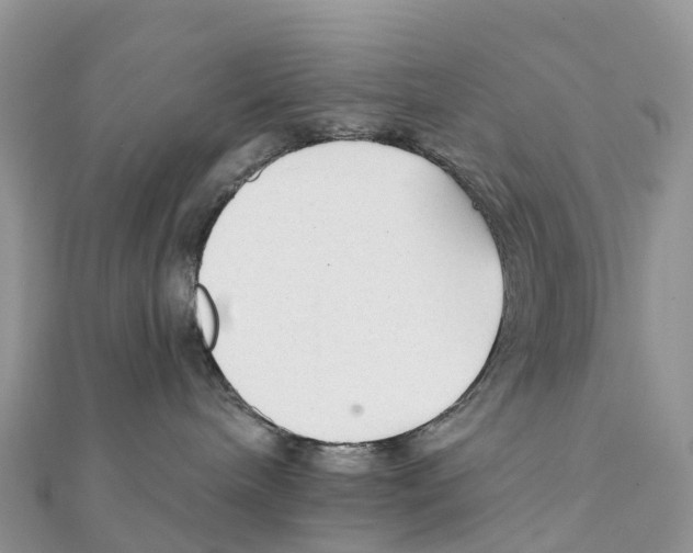 X0000111510240200908111316