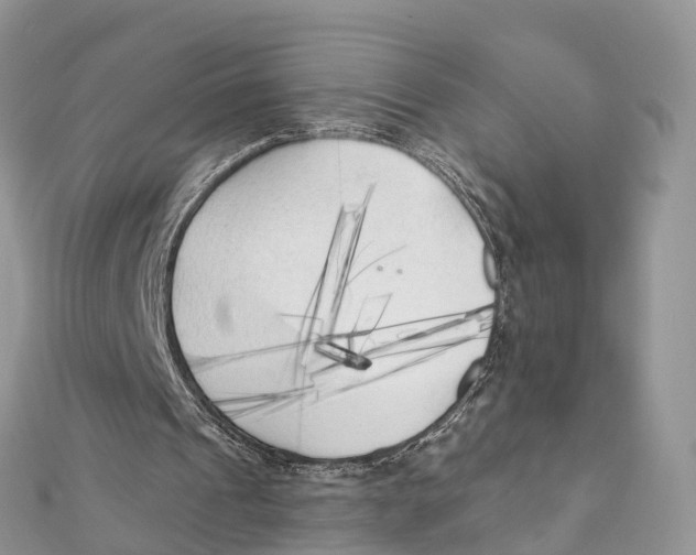 X0000111510241200908111315