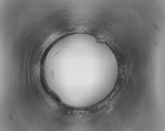 X0000111510242200908111315