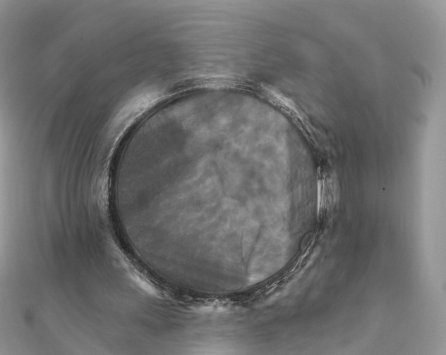X0000111510243200908111315