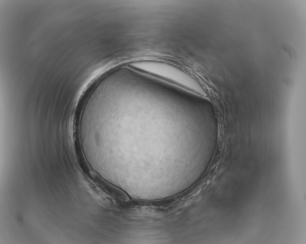 X0000111510244200908111315