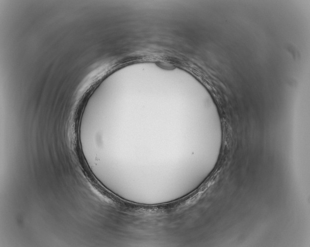 X0000111510245200908111315