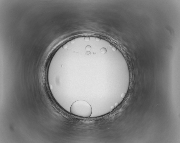 X0000111510247200908111315