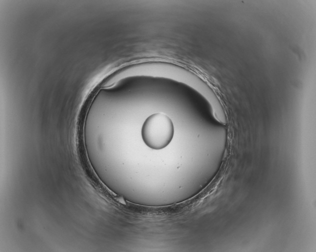 X0000111510248200908111315