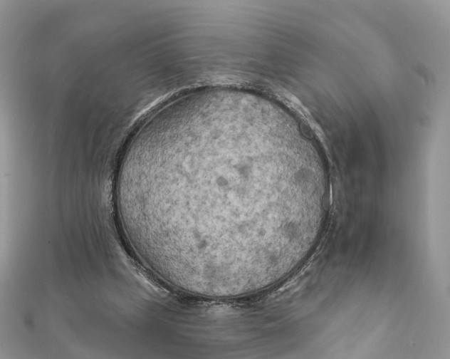 X0000111510249200908111315