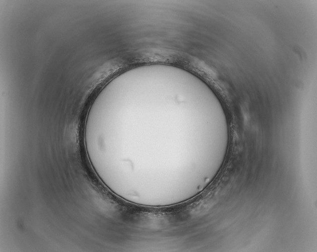 X0000111510250200908111315