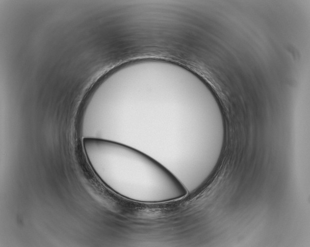 X0000111510252200908111315
