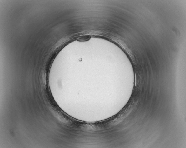 X0000111510253200908111315