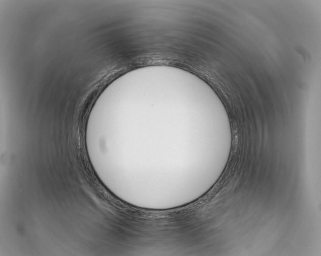 X0000111510254200908111315
