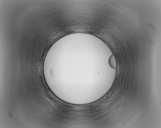 X0000111510255200908111315