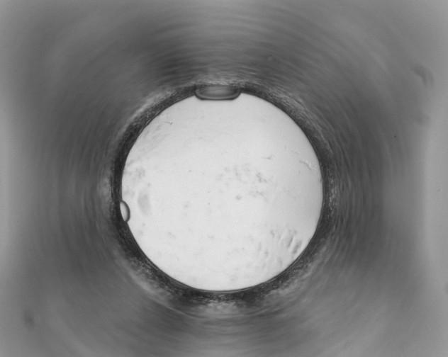 X0000111510256200908111315
