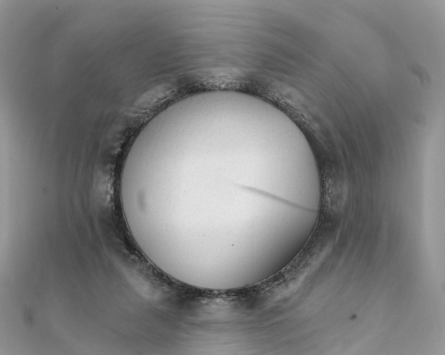 X0000111510259200908111315