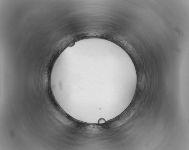 X0000111510261200908111315
