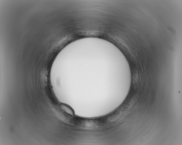 X0000111510264200908111315
