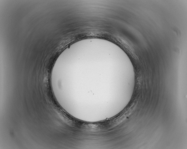 X0000111510265200908111315