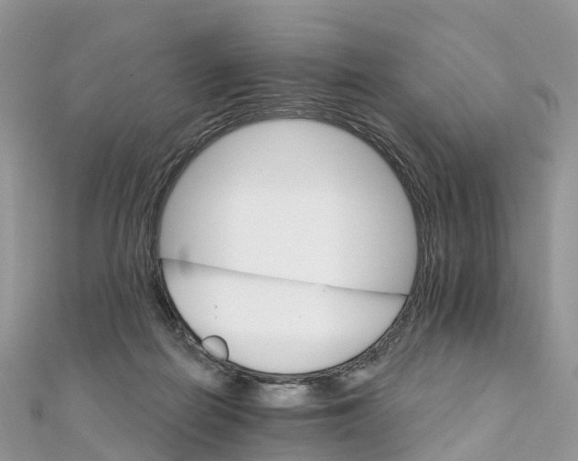 X0000111510266200908111315