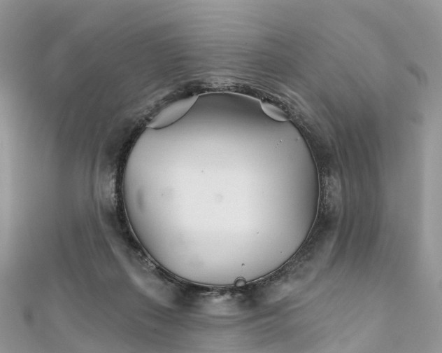 X0000111510267200908111315
