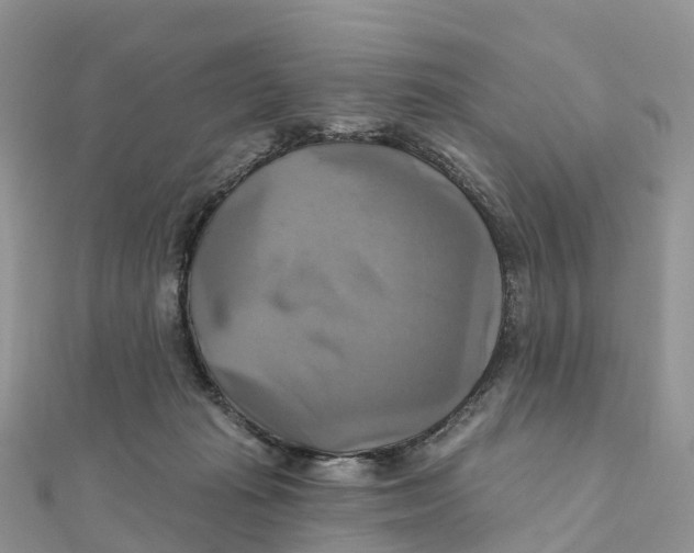 X0000111510269200908111315