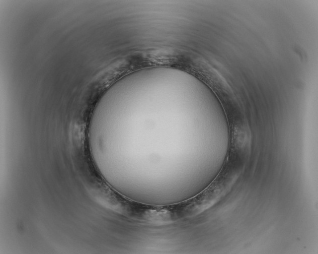 X0000111510271200908111315