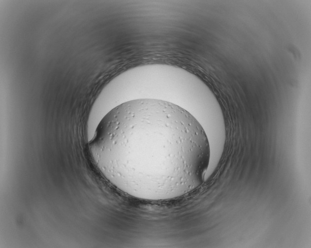 X0000111510272200908111315