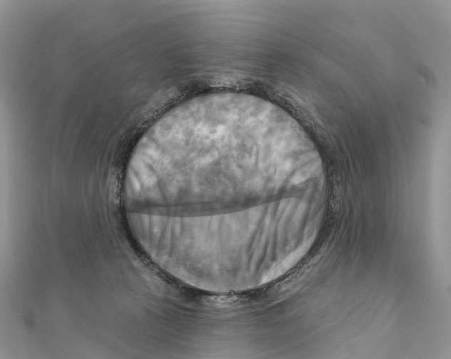 X0000111510273200908111315