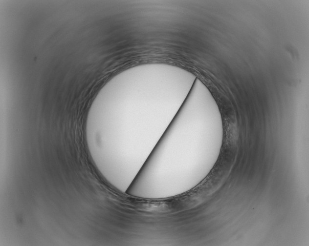 X0000111510274200908111315