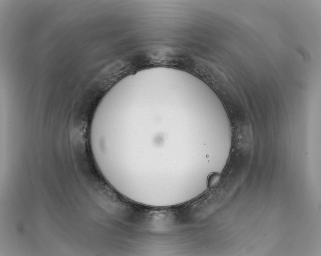 X0000111510275200908111315