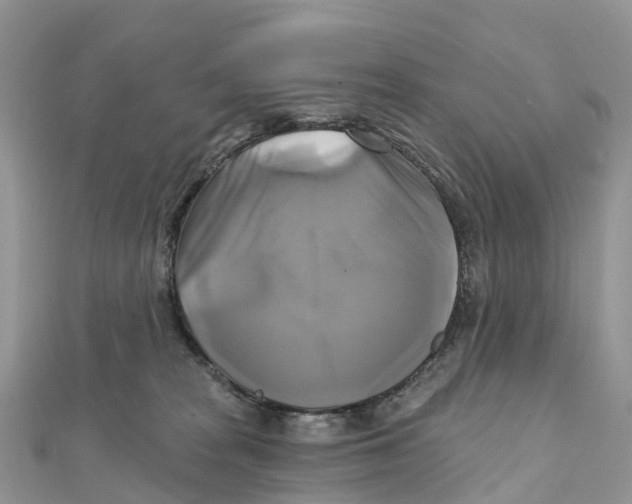 X0000111510277200908111315