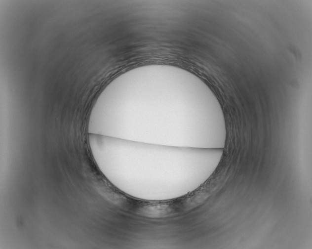 X0000111510278200908111315