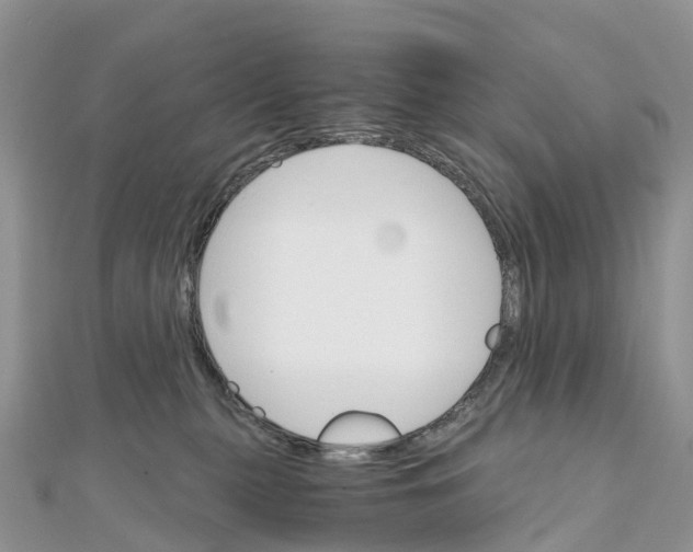 X0000111510279200908111315