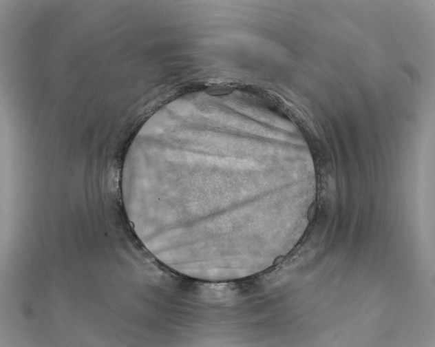 X0000111510281200908111315