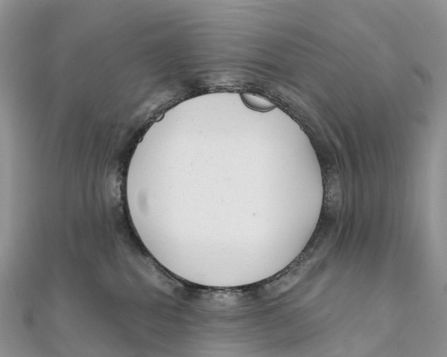 X0000111510282200908111315