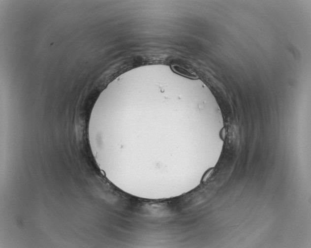 X0000111510283200908111315